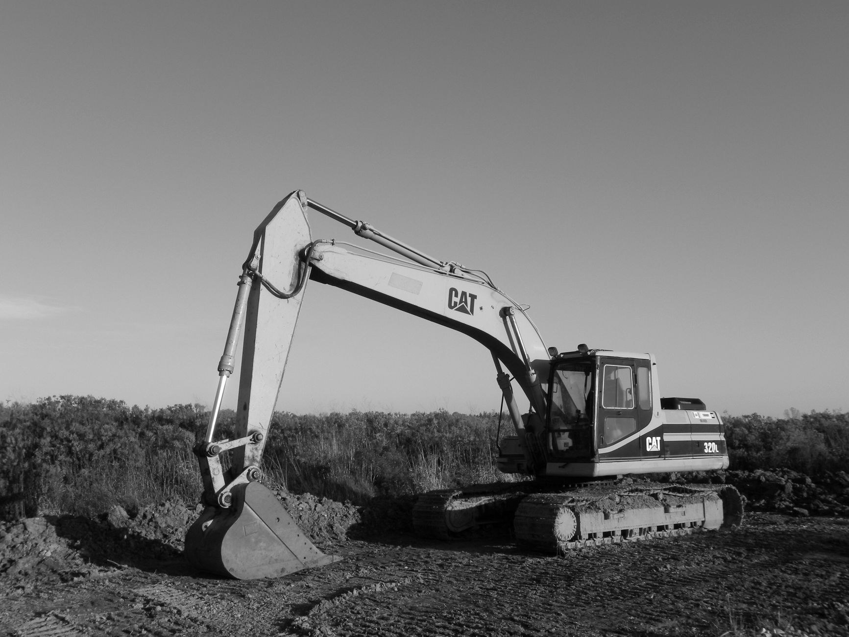 Tracked excavator on cleared ground
